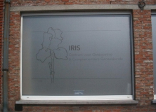 iris